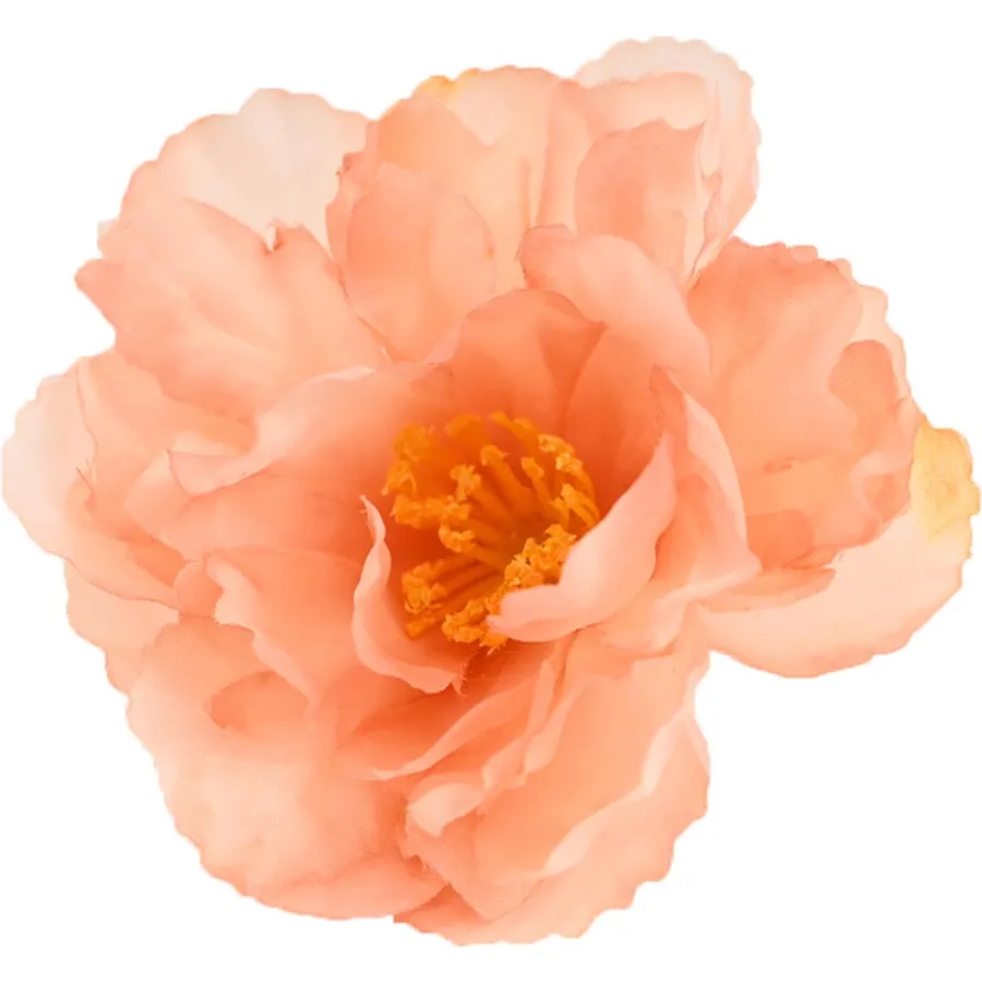 Mohnblume, rosa, 24 Stk 371250-05