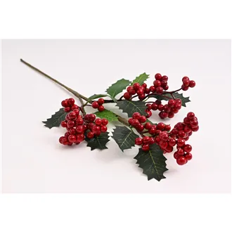 Mahagoni mit Beeren 371472